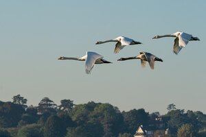 Migrating from Docker Machine to Scale Runners in GitLab.com