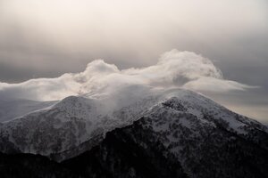 The Continued Growth of Cloud in the Pandemic