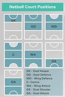 Netball: A New Team Analogy (for me)